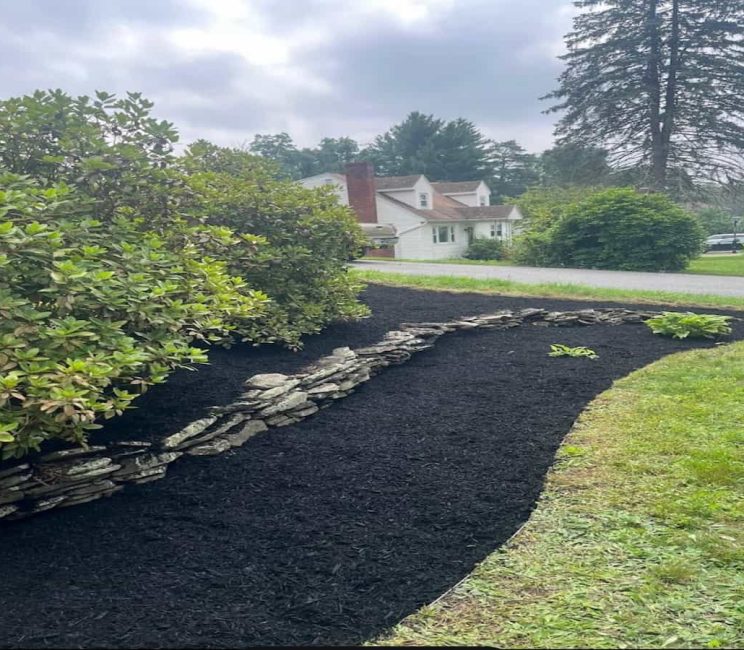 Commercial Landscaping