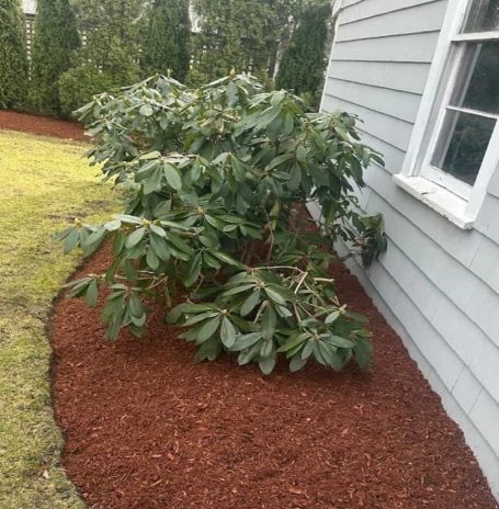Mulching