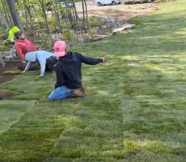 Sod Installation